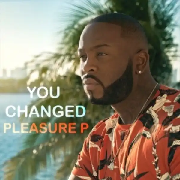 Instrumental: Pleasure P - You Changed (Prod. By Lil Wonder)